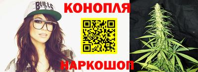 mdpv Новодвинск