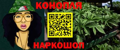 mdpv Новодвинск