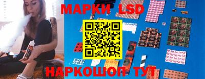 mdpv Новодвинск